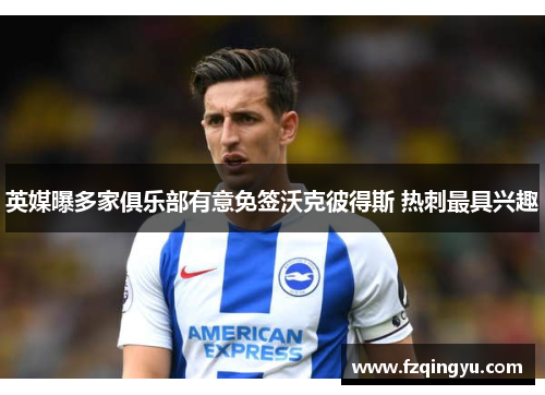 英媒曝多家俱乐部有意免签沃克彼得斯 热刺最具兴趣