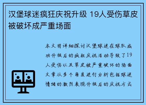 汉堡球迷疯狂庆祝升级 19人受伤草皮被破坏成严重场面